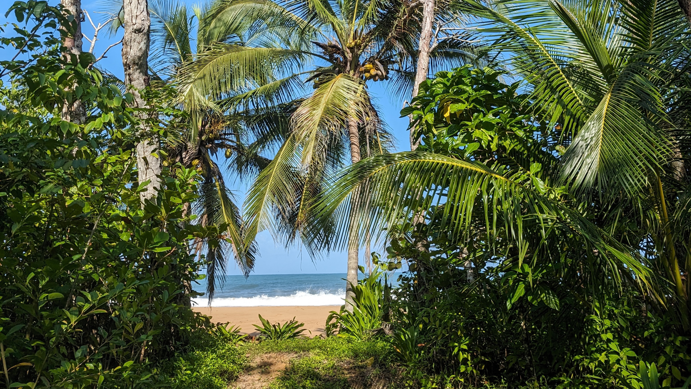 Where to Hike in Bocas del Toro?