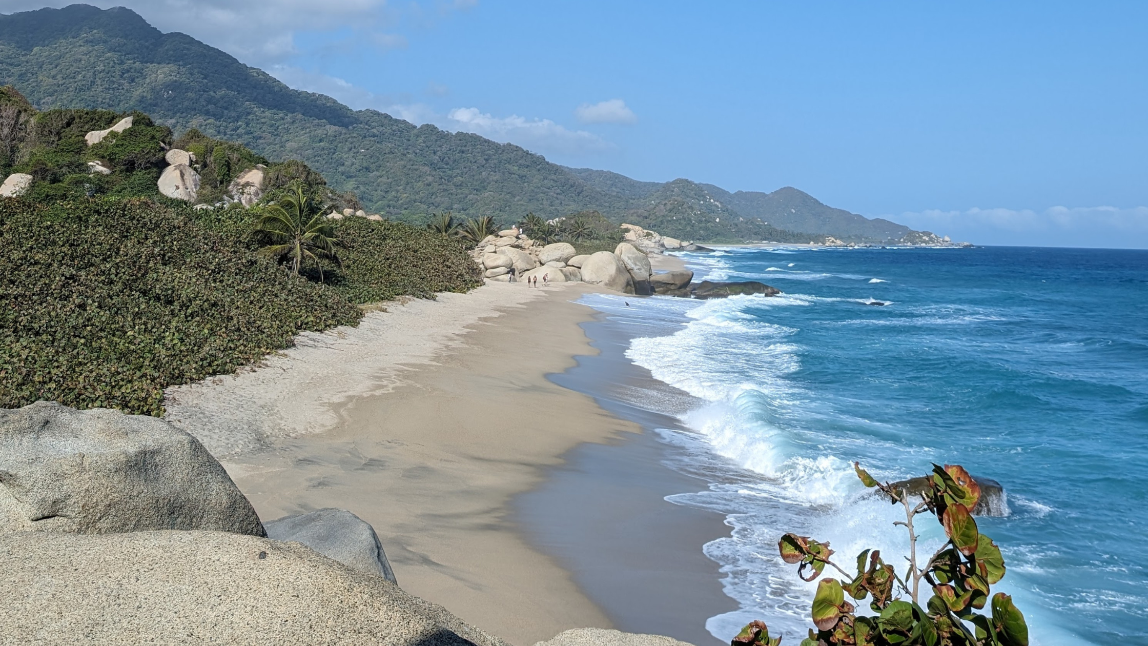 Visiting Tayrona National Park in a Day: A Complete Guide