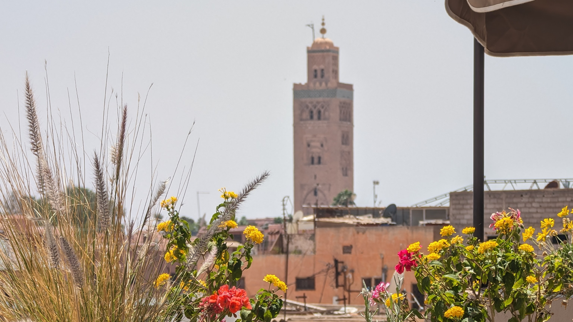 My Favourite Rooftops in Marrakech
